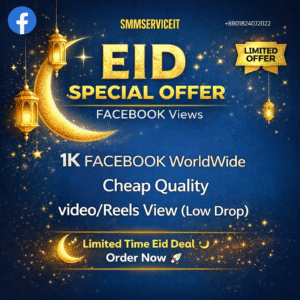 1k Facebook Post Video/ Reels Views Cheap Quality