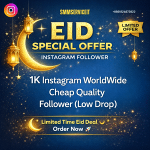 1k Intsagram Follower Cheap Quality